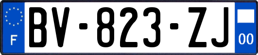 BV-823-ZJ