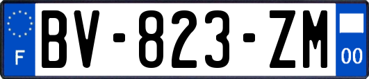 BV-823-ZM