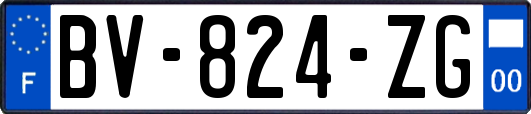 BV-824-ZG