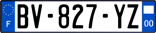 BV-827-YZ