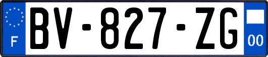 BV-827-ZG