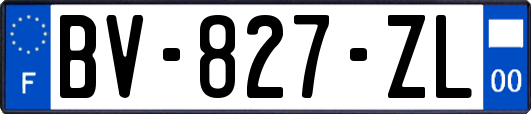 BV-827-ZL