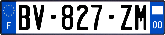 BV-827-ZM