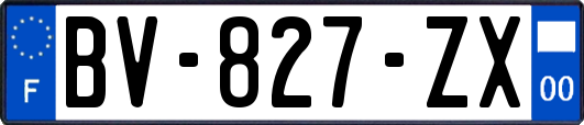 BV-827-ZX