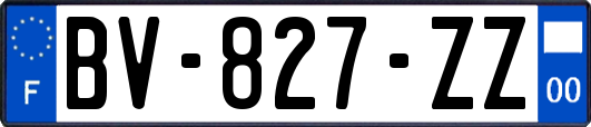 BV-827-ZZ