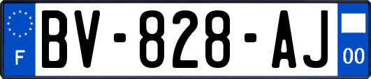 BV-828-AJ