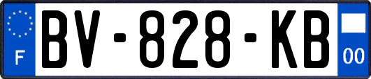 BV-828-KB