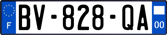 BV-828-QA