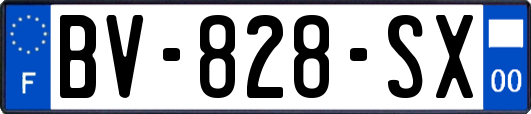 BV-828-SX