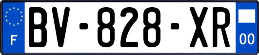 BV-828-XR