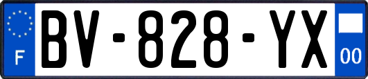 BV-828-YX