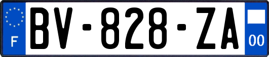 BV-828-ZA