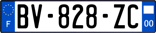 BV-828-ZC