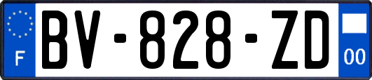 BV-828-ZD