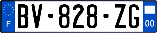 BV-828-ZG