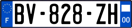 BV-828-ZH