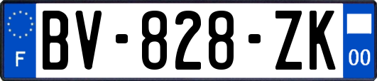 BV-828-ZK