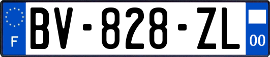 BV-828-ZL