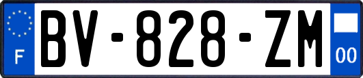 BV-828-ZM