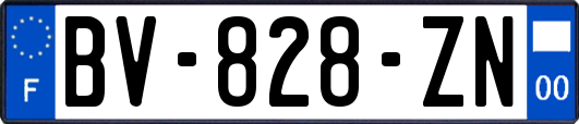 BV-828-ZN