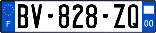 BV-828-ZQ