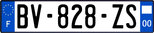 BV-828-ZS