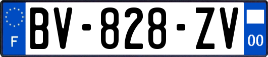 BV-828-ZV