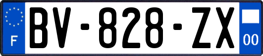 BV-828-ZX