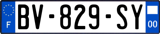 BV-829-SY