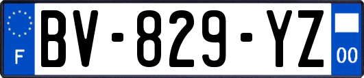 BV-829-YZ