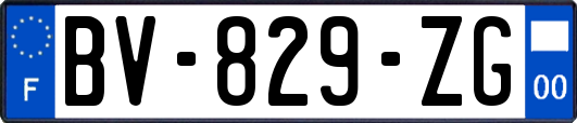 BV-829-ZG