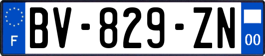 BV-829-ZN