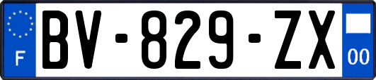 BV-829-ZX