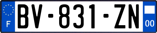 BV-831-ZN