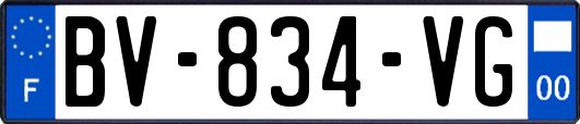 BV-834-VG