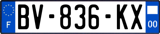 BV-836-KX