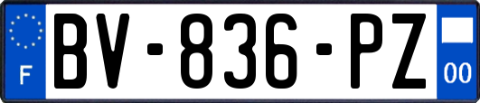 BV-836-PZ