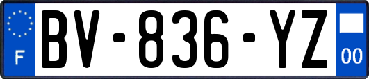 BV-836-YZ