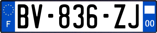 BV-836-ZJ