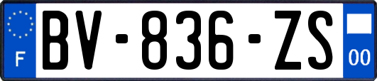 BV-836-ZS