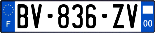 BV-836-ZV