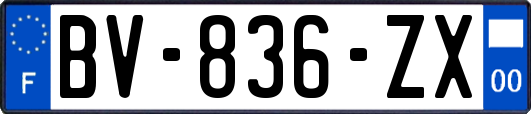 BV-836-ZX