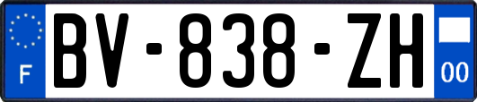 BV-838-ZH