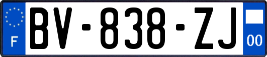 BV-838-ZJ