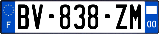 BV-838-ZM