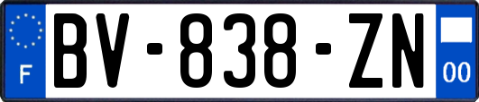 BV-838-ZN