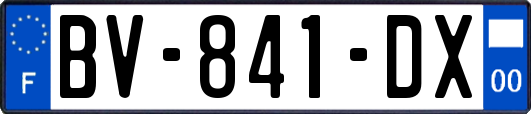 BV-841-DX
