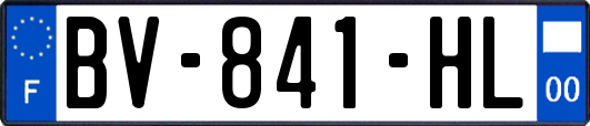 BV-841-HL