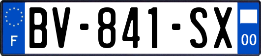 BV-841-SX