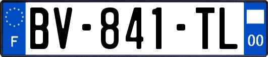 BV-841-TL